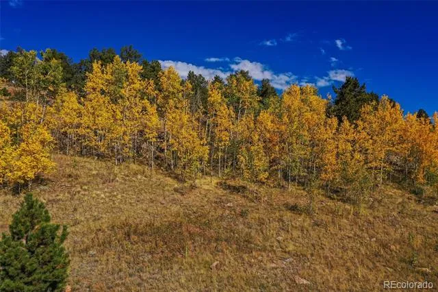 230 Penrose Circle Cripple Creek, CO 80813