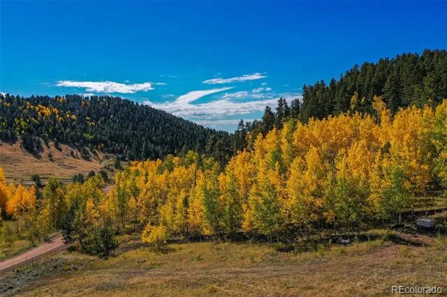 230 Penrose Circle Cripple Creek, CO 80813