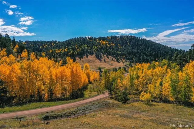230 Penrose Circle Cripple Creek, CO 80813