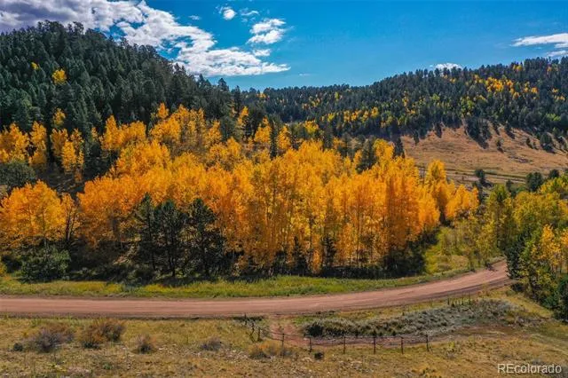230 Penrose Circle Cripple Creek, CO 80813