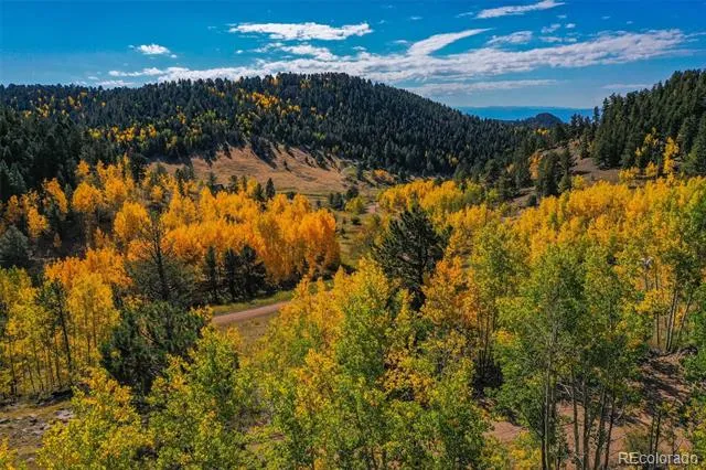 230 Penrose Circle Cripple Creek, CO 80813