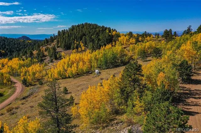 230 Penrose Circle Cripple Creek, CO 80813
