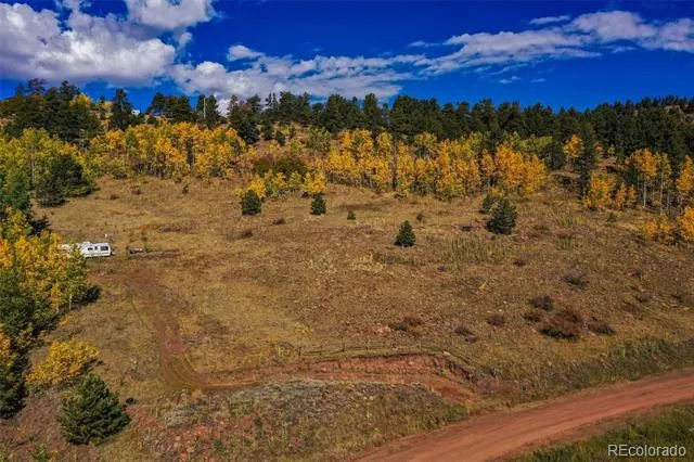 230 Penrose Circle Cripple Creek, CO 80813
