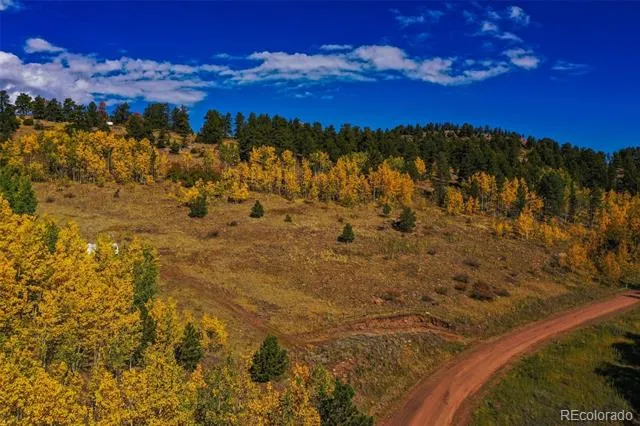 230 Penrose Circle Cripple Creek, CO 80813