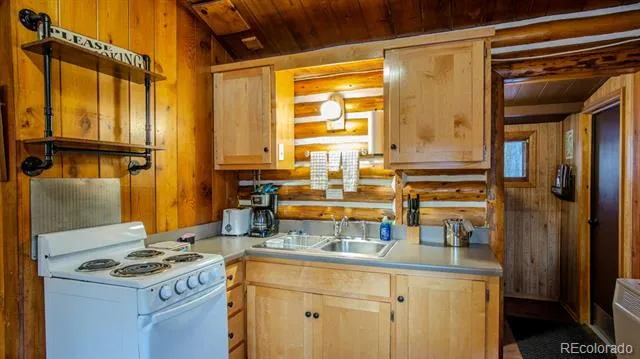 1004 W Main Street #3 Buena Vista, CO 81211