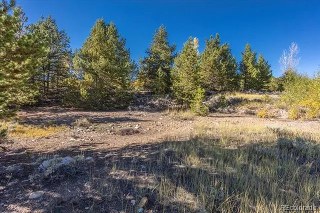 TBD Leadville, CO 80461