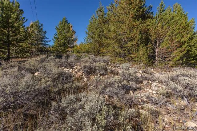 TBD Leadville, CO 80461