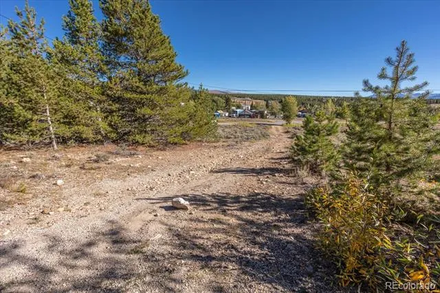 TBD Leadville, CO 80461