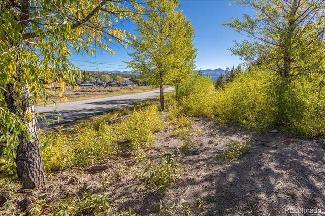 TBD Leadville, CO 80461
