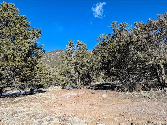 4229 Radiant Crestone, CO 81131