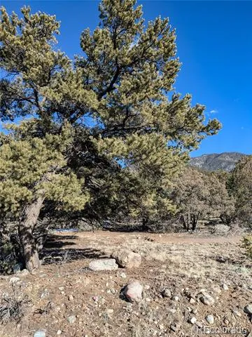 4229 Radiant Crestone, CO 81131