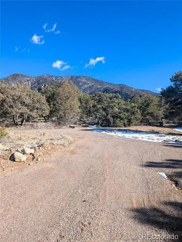 4229 Radiant Crestone, CO 81131