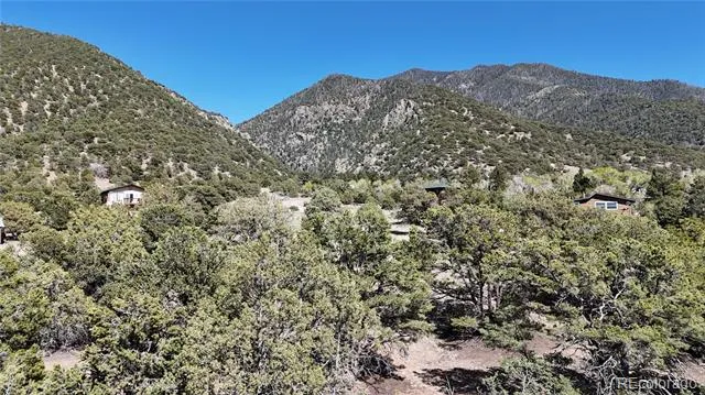 4229 Radiant Crestone, CO 81131