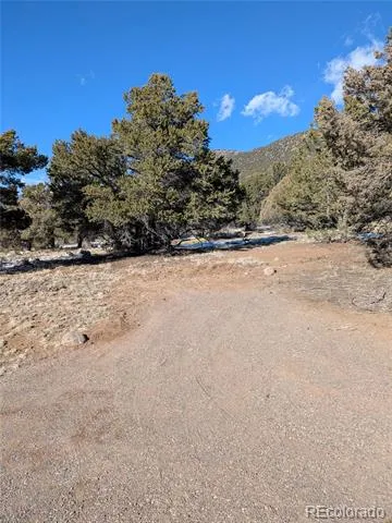 4229 Radiant Crestone, CO 81131
