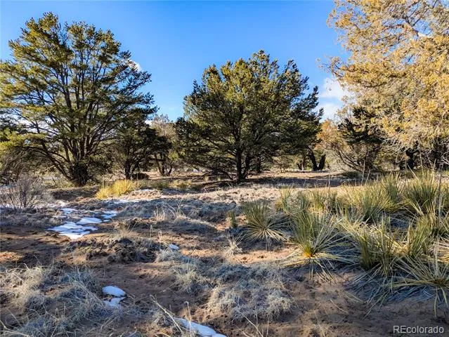 4229 Radiant Crestone, CO 81131