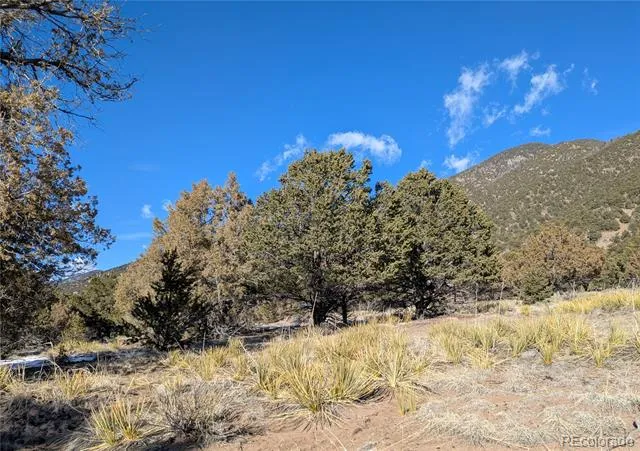 4229 Radiant Crestone, CO 81131