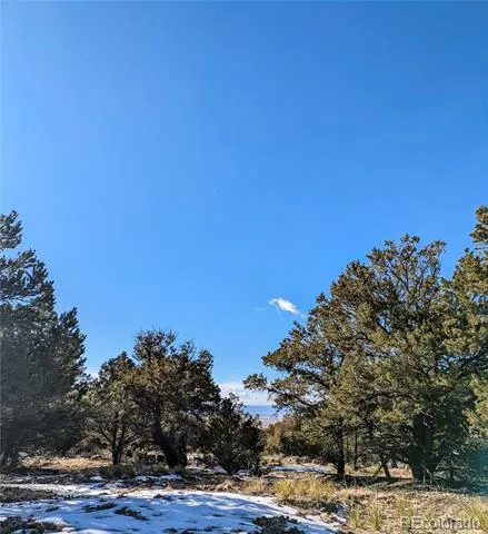 4229 Radiant Crestone, CO 81131