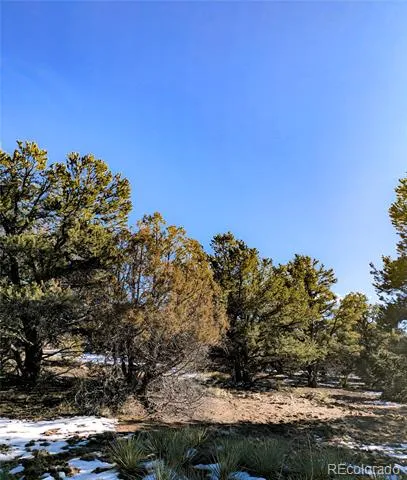 4229 Radiant Crestone, CO 81131