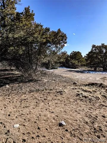 4229 Radiant Crestone, CO 81131