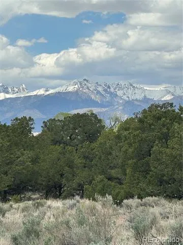 10 Mountain Springs Lane Mosca, CO 81146