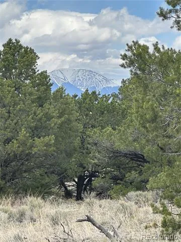 10 Mountain Springs Lane Mosca, CO 81146