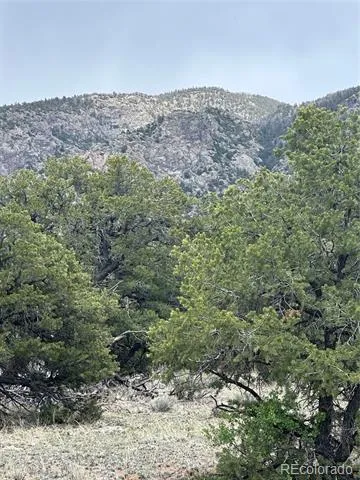 10 Mountain Springs Lane Mosca, CO 81146