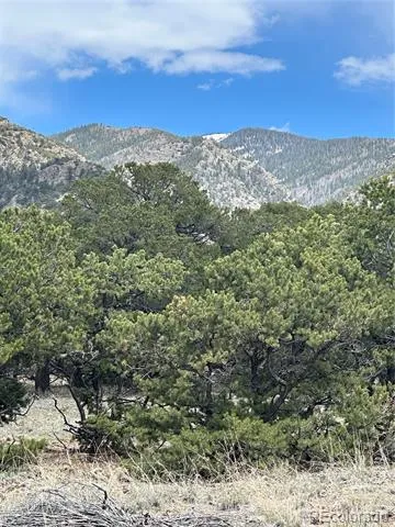 10 Mountain Springs Lane Mosca, CO 81146