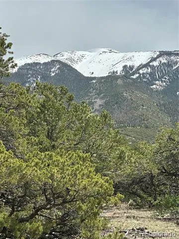 10 Mountain Springs Lane Mosca, CO 81146