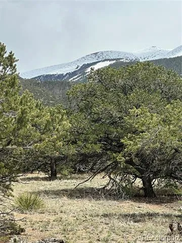 10 Mountain Springs Lane Mosca, CO 81146