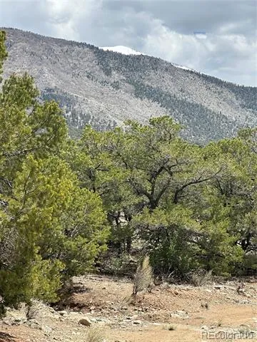 10 Mountain Springs Lane Mosca, CO 81146