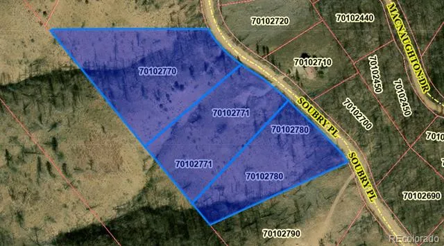 374-376 Soubry Place Fort Garland, CO 81133