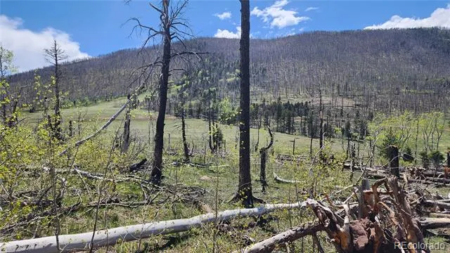2334 Wohlstetter Loop Fort Garland, CO 81133