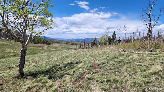 2334 Wohlstetter Loop Fort Garland, CO 81133