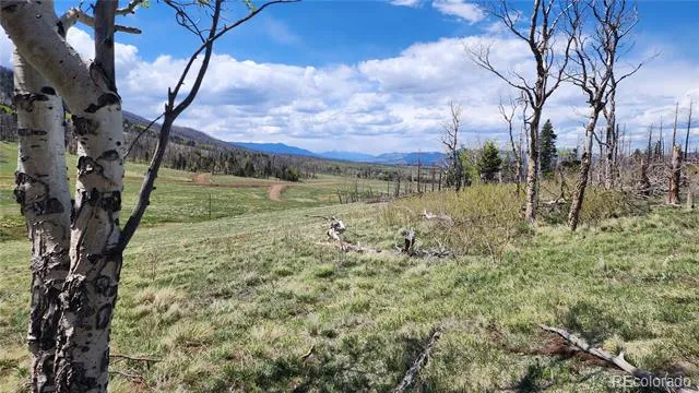 2334 Wohlstetter Loop Fort Garland, CO 81133