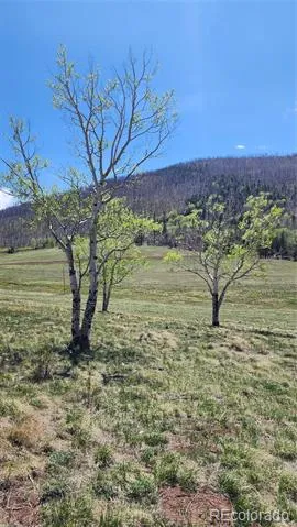 2334 Wohlstetter Loop Fort Garland, CO 81133