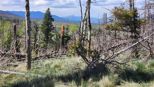 2334 Wohlstetter Loop Fort Garland, CO 81133