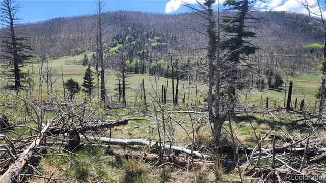 2334 Wohlstetter Loop Fort Garland, CO 81133