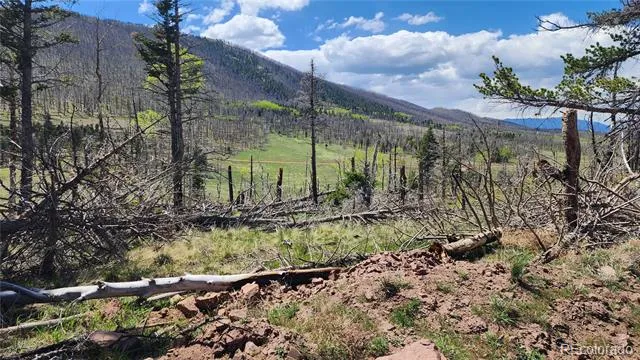 2334 Wohlstetter Loop Fort Garland, CO 81133