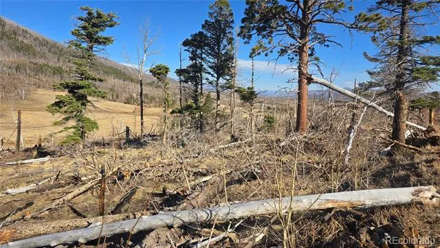 2334 Wohlstetter Loop Fort Garland, CO 81133