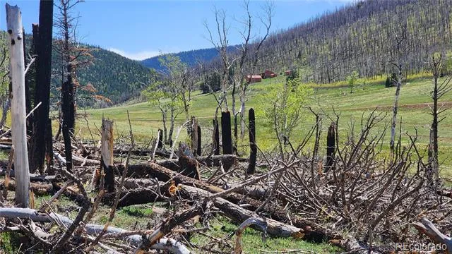 2334 Wohlstetter Loop Fort Garland, CO 81133
