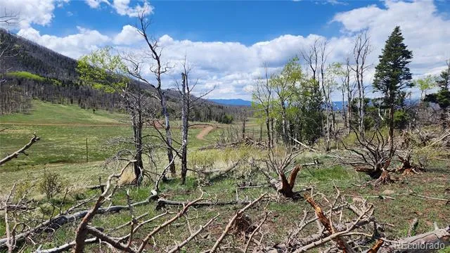 2334 Wohlstetter Loop Fort Garland, CO 81133