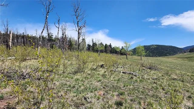 2334 Wohlstetter Loop Fort Garland, CO 81133