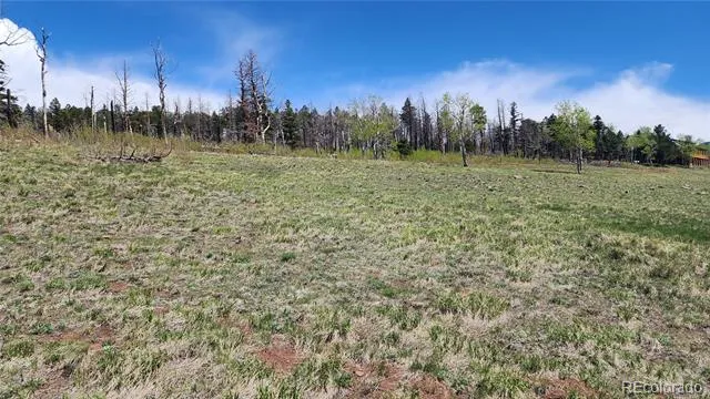 2334 Wohlstetter Loop Fort Garland, CO 81133