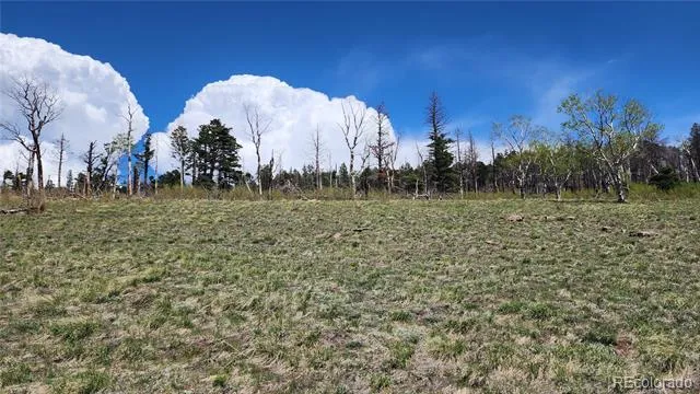 2334 Wohlstetter Loop Fort Garland, CO 81133