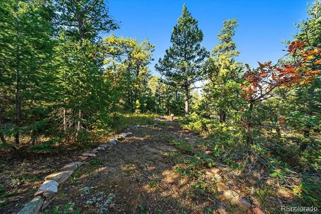 000 Flat Top Trail Littleton, CO 80127