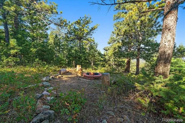 000 Flat Top Trail Littleton, CO 80127
