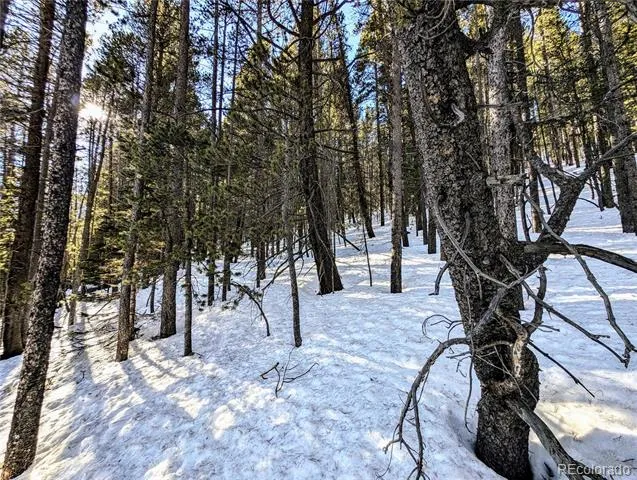 Lot 677 Alice Road Idaho Springs, CO 80453