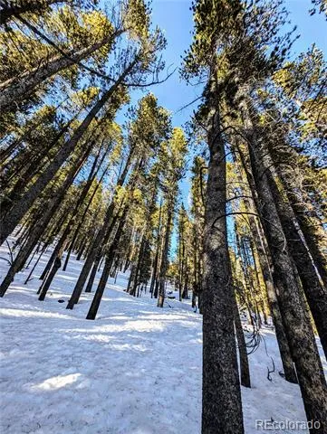 Lot 677 Alice Road Idaho Springs, CO 80453