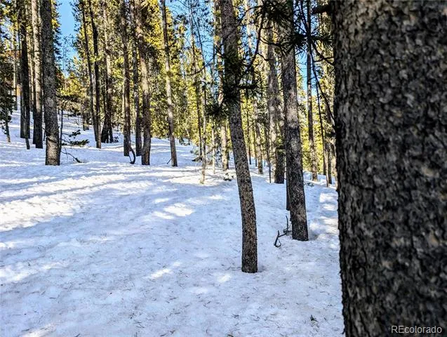 Lot 677 Alice Road Idaho Springs, CO 80453