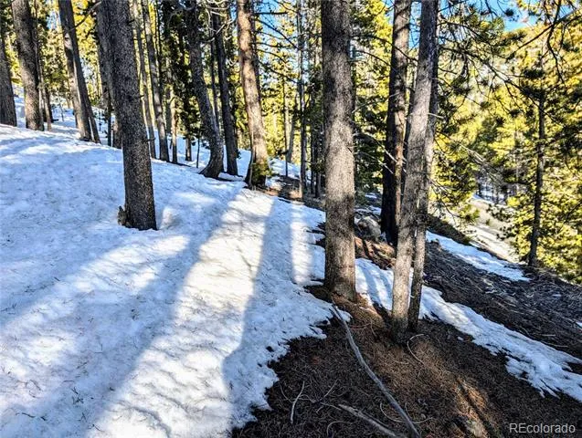 Lot 677 Alice Road Idaho Springs, CO 80453